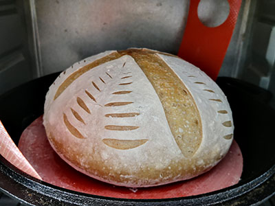 Simple Sourdough Bread