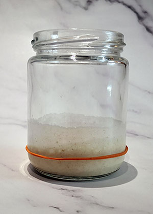 How to make a starter