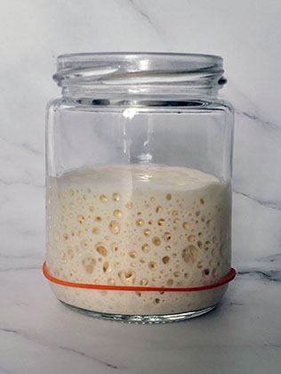 How to make a starter