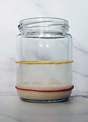 How to make a starter