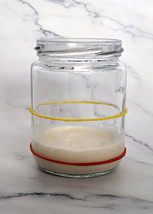 How to make a starter