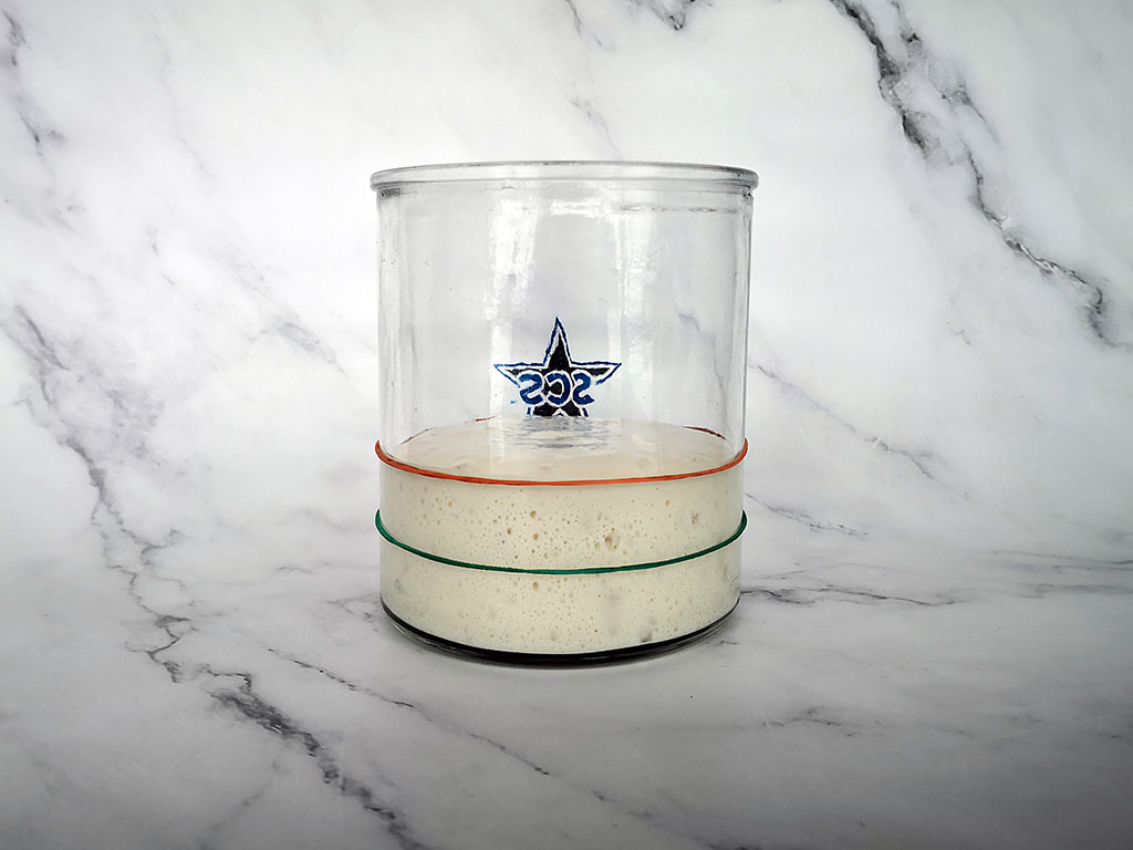 Sourdough Starter Lifecycle