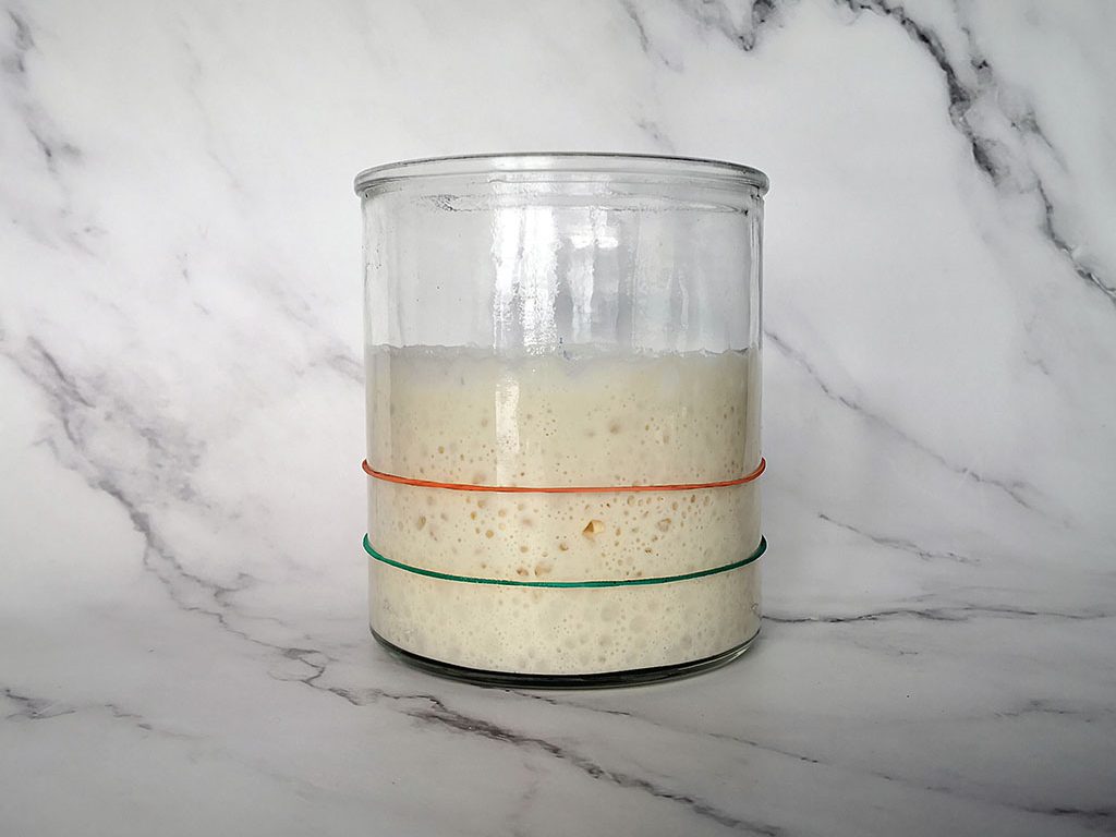 Sourdough Starter Lifecycle