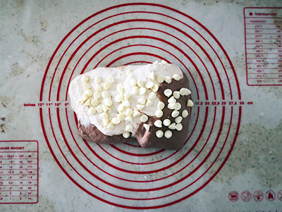 Chocolate Swirl Sourdough Loaf